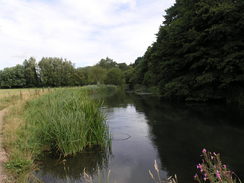 P20087305080	Heading south along the Itchen Navigation.