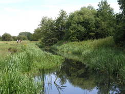 P20087305104	The River itchen by the M27.