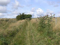 P20088155242	The path leading northwestwards onto Breakheart Hill from Chitterne.