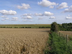 P20088155357	Heading north towards Shrewton.