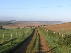 P2008A095376	The lane descending onto Bere Down.