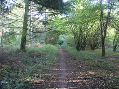 P2008A175570	Heading east along the southern bounadry of Chawton Park Wood.