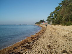 P2008C280068	Following the foreshore towards the Royal Victoria Country Park.