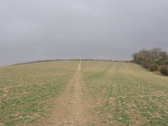 P20091055841	The ascent onto Idsworth Down.