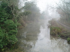 P20091080053	The Itchen between Ovington and Itchen Stoke.