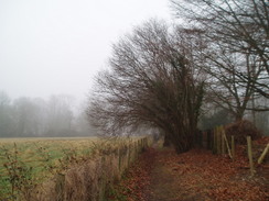 P20091080070	The path heading west from Itchen Abbas.