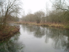 P20091080080	The Itchen at Easton Bridge.