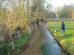 P20091080123	The Itchen in Cheriton.