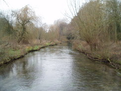 P20091150014	The Itchen at Abbots Worthy.