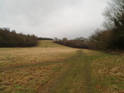 P20091150019	The path past Easton Down.