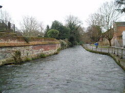 P20091150032	The Itchen in Winchester.