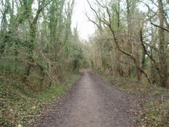 P20091150046	Following the Itchen Way southwards.