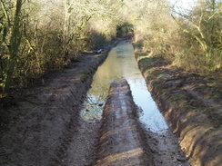 P20091210034	The track heading west towards Lodge Farm.