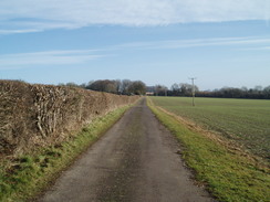 P20091210051	Heading east towards East Chase Farm.