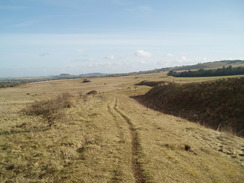 P20091210078	Following Bokerley Ditch southwestwards across Martin Down.