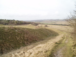 P20091210086	Following Bokerley Ditch southwestwards across Martin Down.