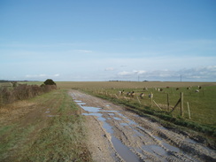 P20091210095	The track heading northeastwards from Tidpit.