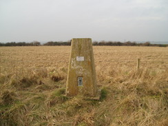 P20091310030	Gussage Hill trig pillar.