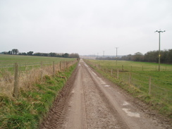 P20091310115	The track heading southeastwards from Cranborne Farm.