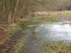 P20092070084	A flooded path in Pylewell Park.