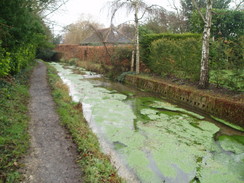 P20092190082	A stream in Fishbourne.