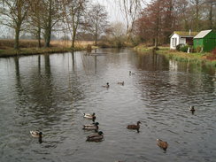 P20092190089	The mill pond in Fishbourne.