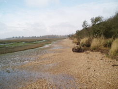 P20092190107	The foreshore leading north towards Bosham.