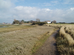 P20092190116	The foreshore leading north towards Bosham.