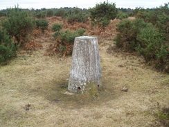 P20092230036	The trig pillar near the B3054.