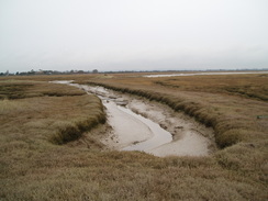 P20092260038	Marshland by the flood bank.