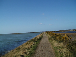 P20093090024	The path windng around towards the Salterns.