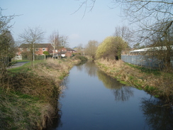 P20093180005	The River Lambourne.