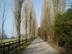 P20093180015	The track leading towards Donnington Castle.