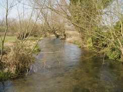 P20093180055	A tributary of the River Lambourn in Weston.