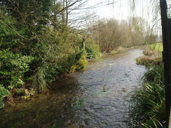 P20093180067	The River Lambourn in Great Shefford.