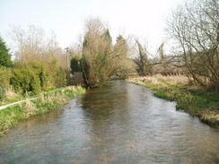 P20093180081	A tributary of the River Lambourn in Weston.