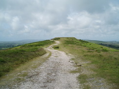 P20096140017	Cefn Bryn.