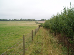 P20099070056	The track running northwestwards over Brockely Warren.