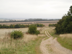 P20099070062	The track leading northwestwards towards Chilbolton.