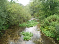 P20099070115	The River Dever at Bullington Bridge.