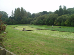 P20099070124	Watercress beds in Hunton.