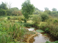 P20099070126	The River Dever in Stoke Charity.