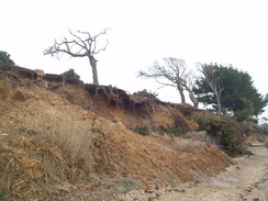 P20101270039	The coast between Lepe and Inchmery.