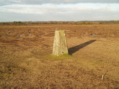 P20102090009	Bramshaw trig pillar.