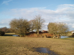 P20102090012	The tumulus at Fritham.