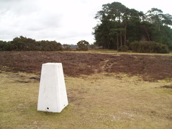 P20102090058	Ibsley Common trig pillar.