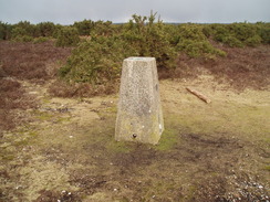 P20102090083	Blissford trig pillar.