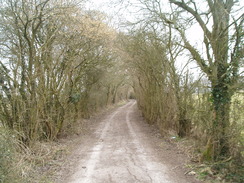 P20103110016	The track heading east towards Ramsdean.