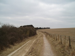 P20103110087	The track leading east away from Old Winchester Hill.