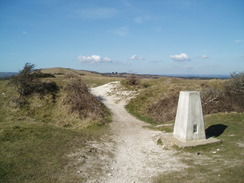 P20103150030	Ballard Down trig pillar.